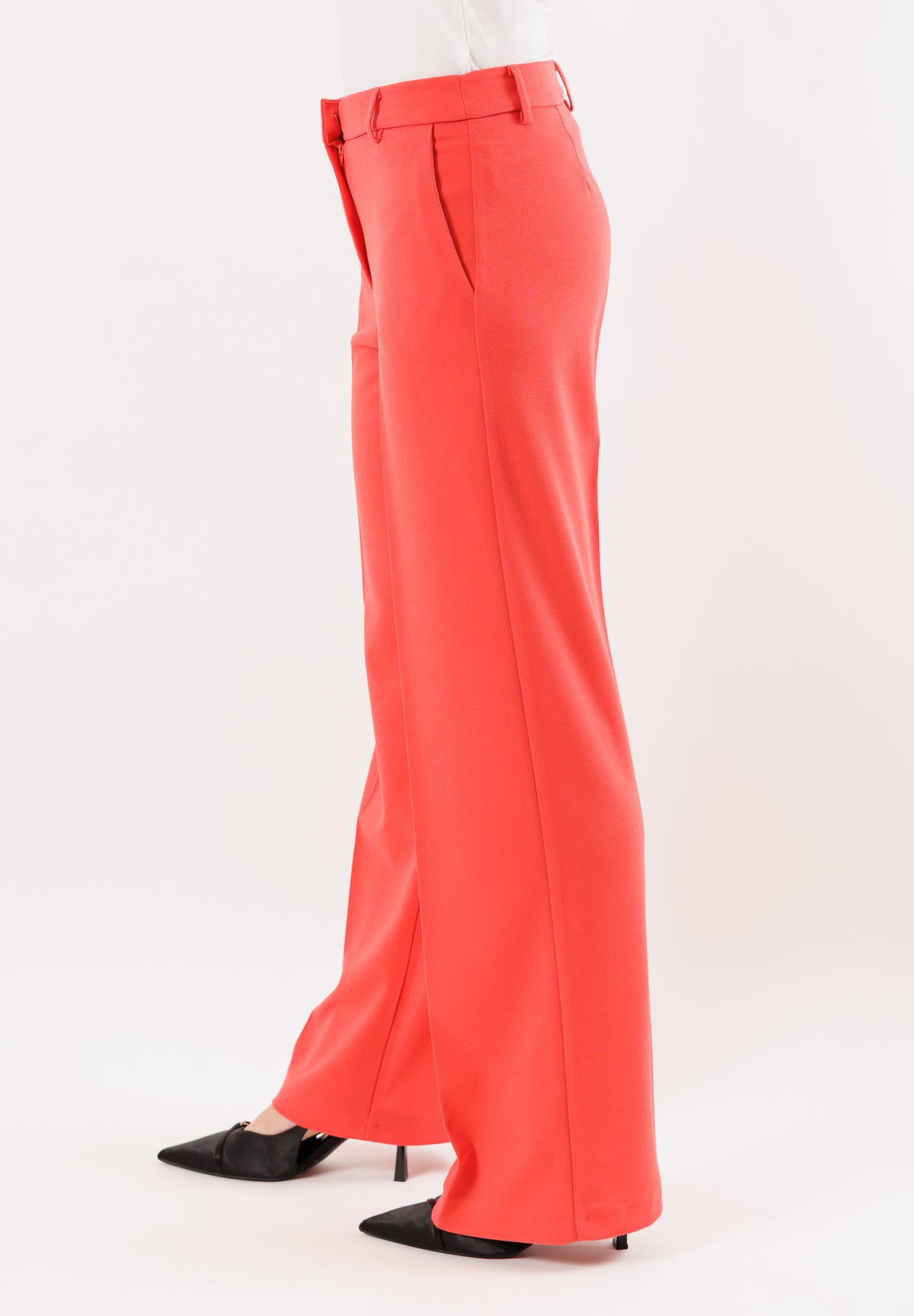 PE25167SCCORALLO