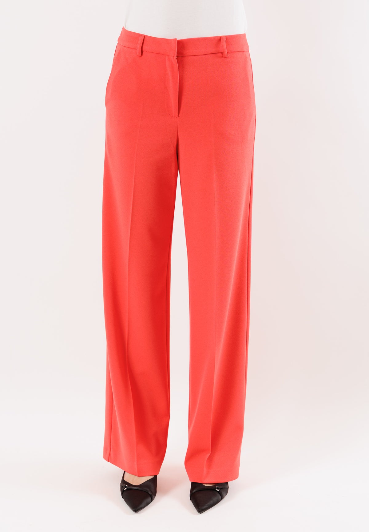 PE25167SCCORALLO
