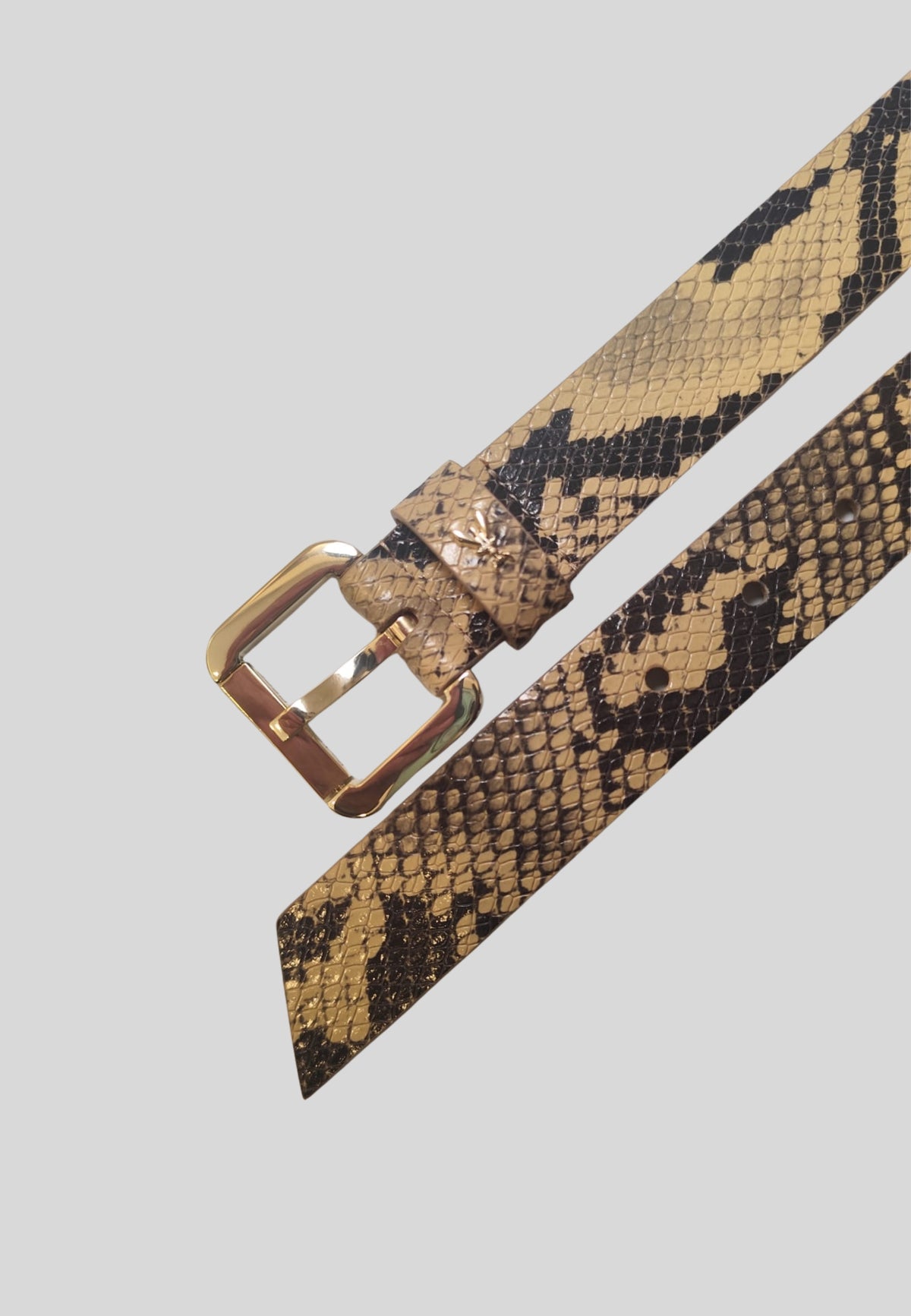 8W8684L032B736 - Belt - PATRIZIA PEPE