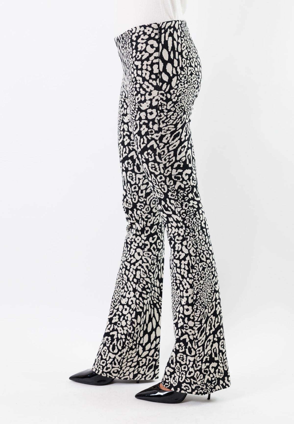 panta zampa fantasia