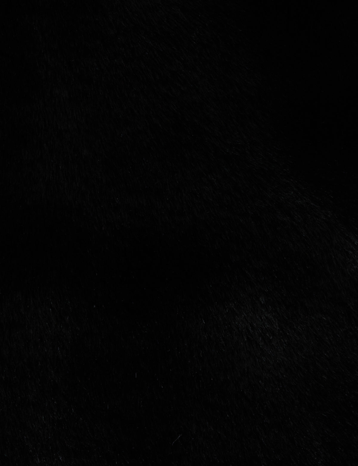 5GIFURNOIR