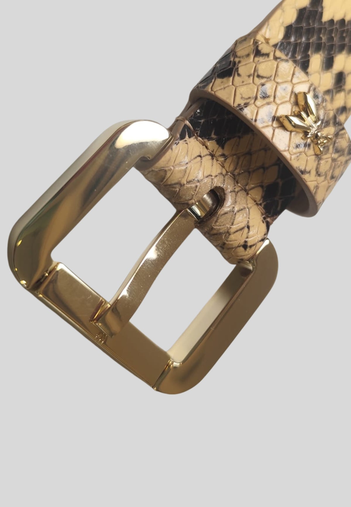 8W8684L032B736 - Cintura - PATRIZIA PEPE